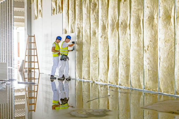 Best Eco-Friendly Insulation in Northwest Harbor, NY